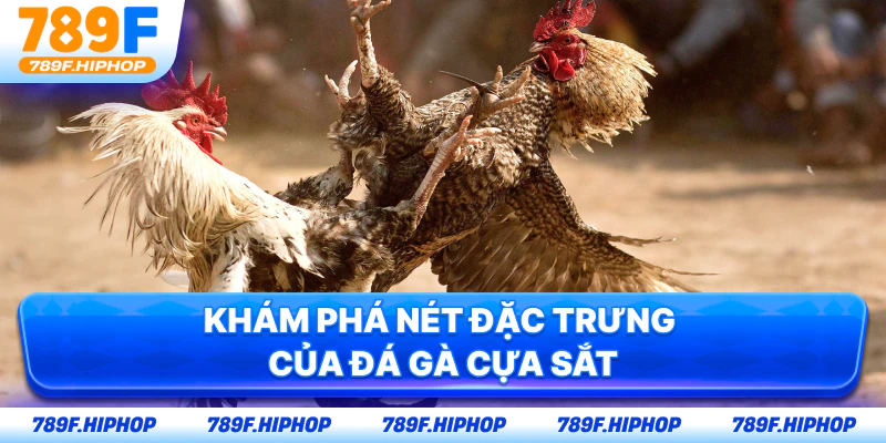 Khám phá nét đặc trưng của đá gà cựa sắt
